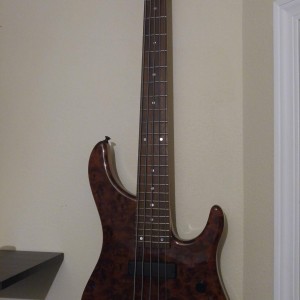 My Custom Regenerator 5-String