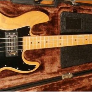Bass