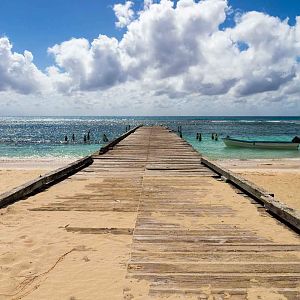 Isla Saona