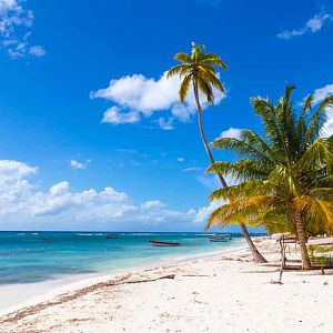 Isla Saona