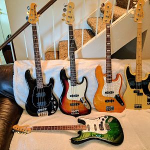 the survivors. 2016 collection