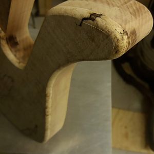 Closeup of rounding