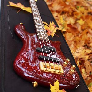 Spector NS4CR-FM
