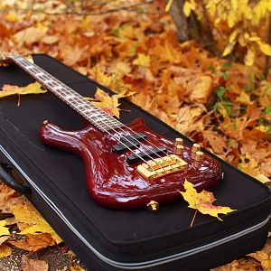 Spector NS4CR-FM