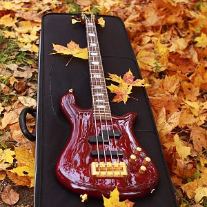 Spector NS4CR-FM