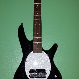 the MikroRay with pickguard