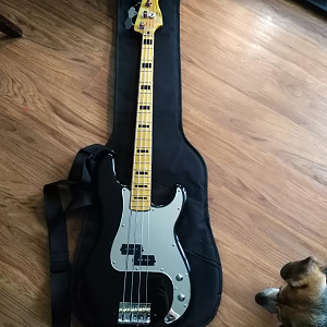 My dog & my newest bass