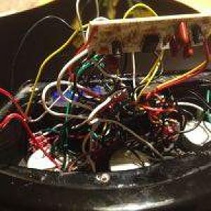 TribWires