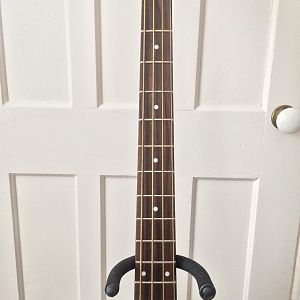 IMG_1557