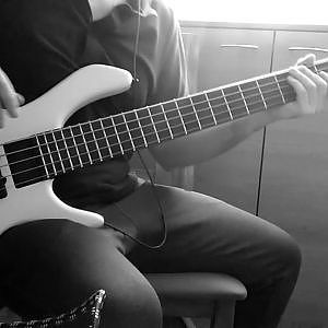 Lenno - Chase The Sun (Cats Hero Remix) [BASS COVER] - YouTube