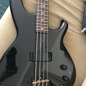 Black and Gold I