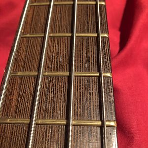 Warwick Fretboard