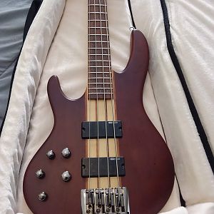 LTD D-4 New 2018 Model
