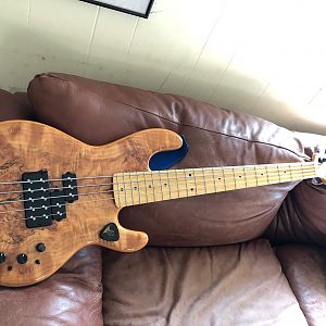 DL5_1