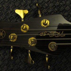 TRB5p Headstock