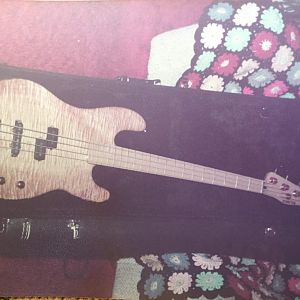 Early  Schecter