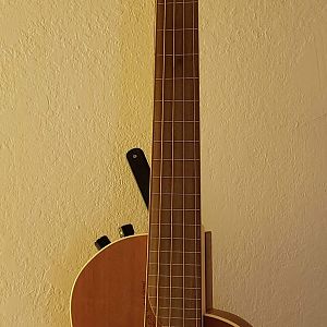 RB5 fretless whole 2