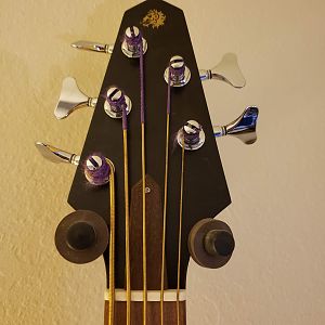 RB5 fretless headstock