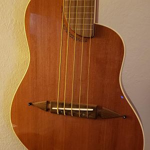 RB5 fretless body
