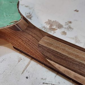 volute