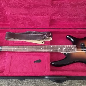 Ibanez Mikro in a Kaces soft-case