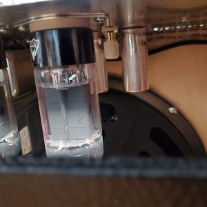 Chameleon - Tubes