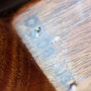 Ergo bass serial number 308? Best shot I could get, varnish is shiny here.