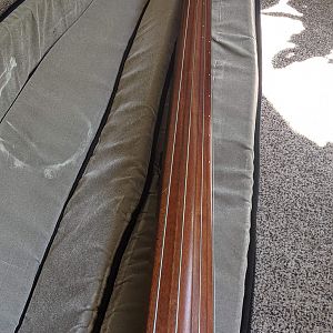 Ergo bass with case- it's a BIT snug but keeps it safe