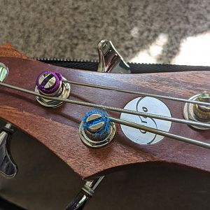 Ergo bass headstock