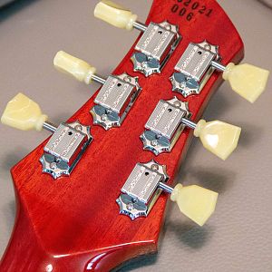 Double cutaway Special build