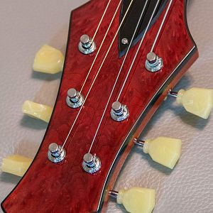 Double cutaway Special build