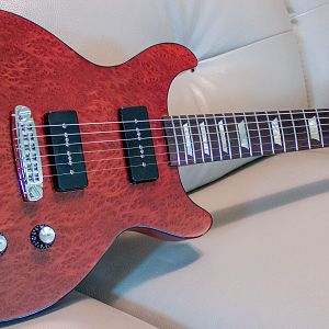 Double cutaway Special build