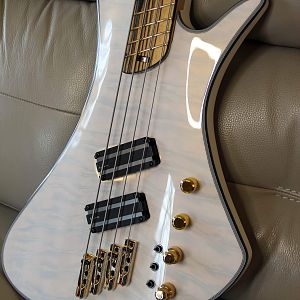 013 - Multi-scale bass