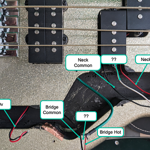 TMB310-pickups
