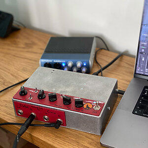 Pure-Tone-Amphibious-09.jpg
