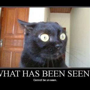 what has been seen...