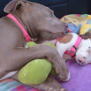 sleepy