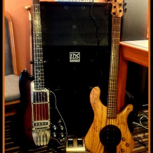CatharticBass Rig