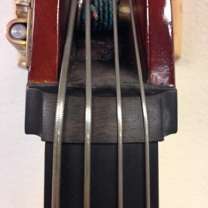 Nut fitted front