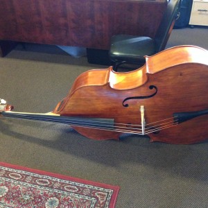 Bass full, new ebony