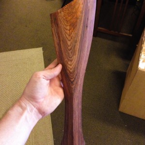 Bass tailpiece rough 4