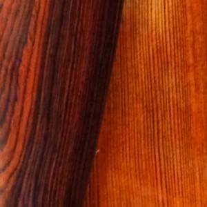 Bass tailpiece close-up grain