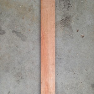 Sheoak