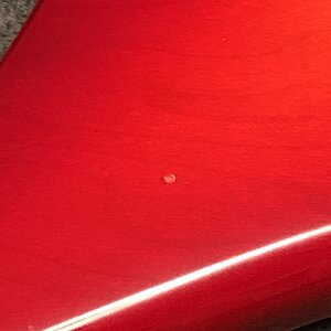 IMG_3689.jpeg