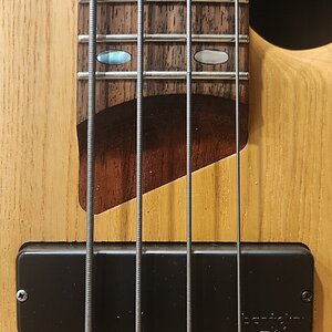 20250222_220143.jpg