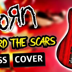 KORN - REWARD THE SCARS BASS COVER + FREE TABS 🎸Ibanez K5 Original
