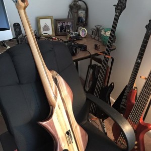 Wishbass #1711 Back