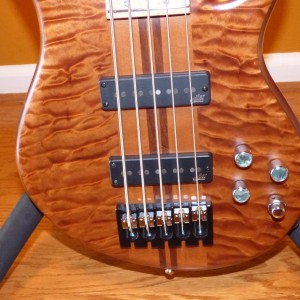 Carvin Icon 5