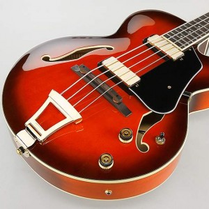 Ibanez AFB 200