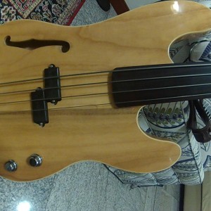 Arce Bass